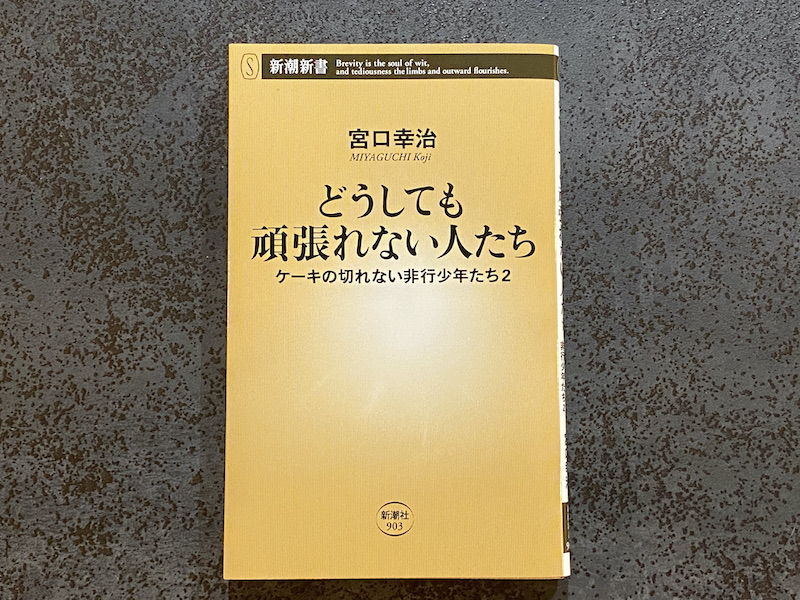 書評】ケーキが切れた後の話『どうしても頑張れない人たち』宮口